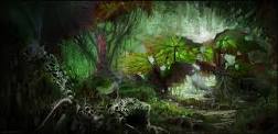 Lehele Lauhola banner image