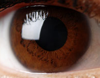 Jacob Oren banner image