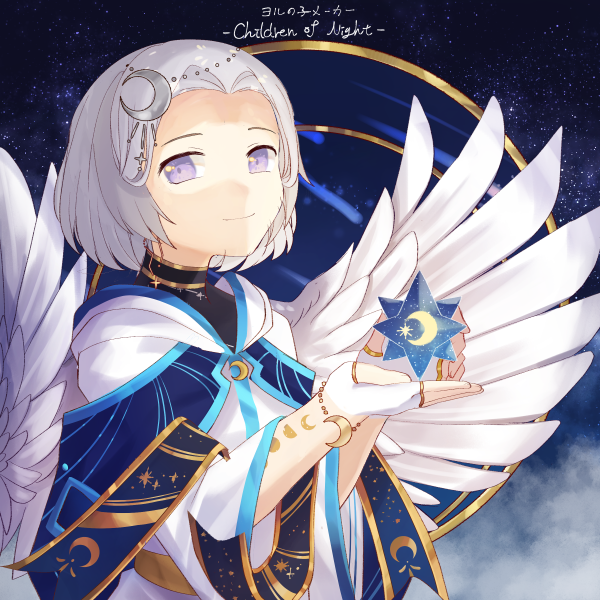 Iredessa banner image