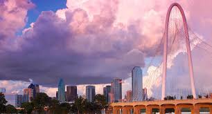 Texas banner image