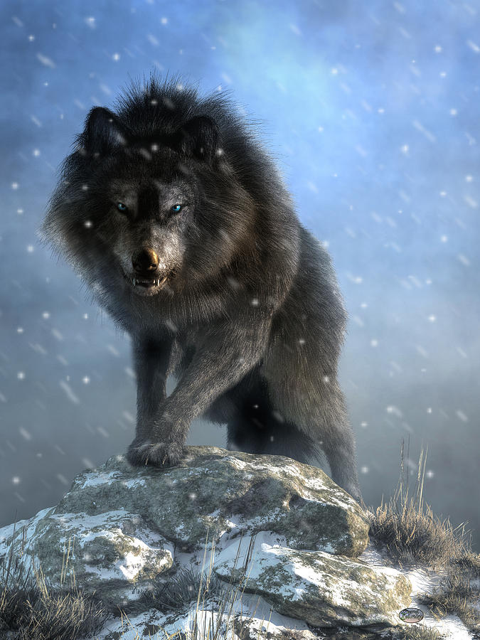 Dire Wolf banner image