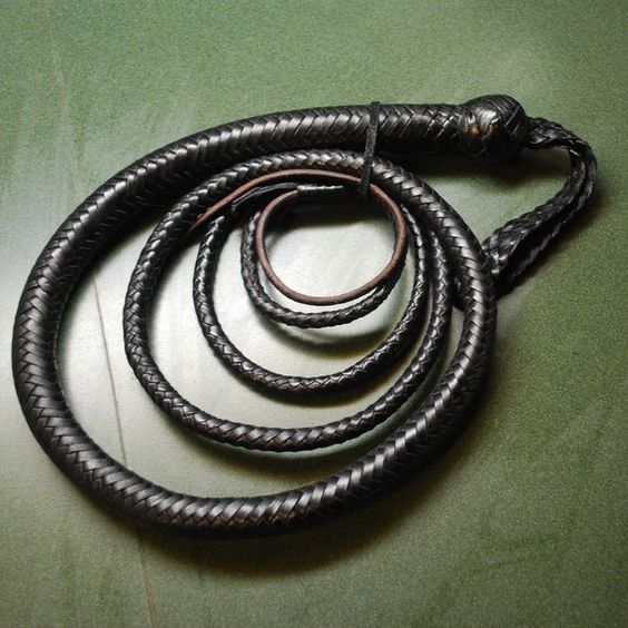 Coley's Whip banner image
