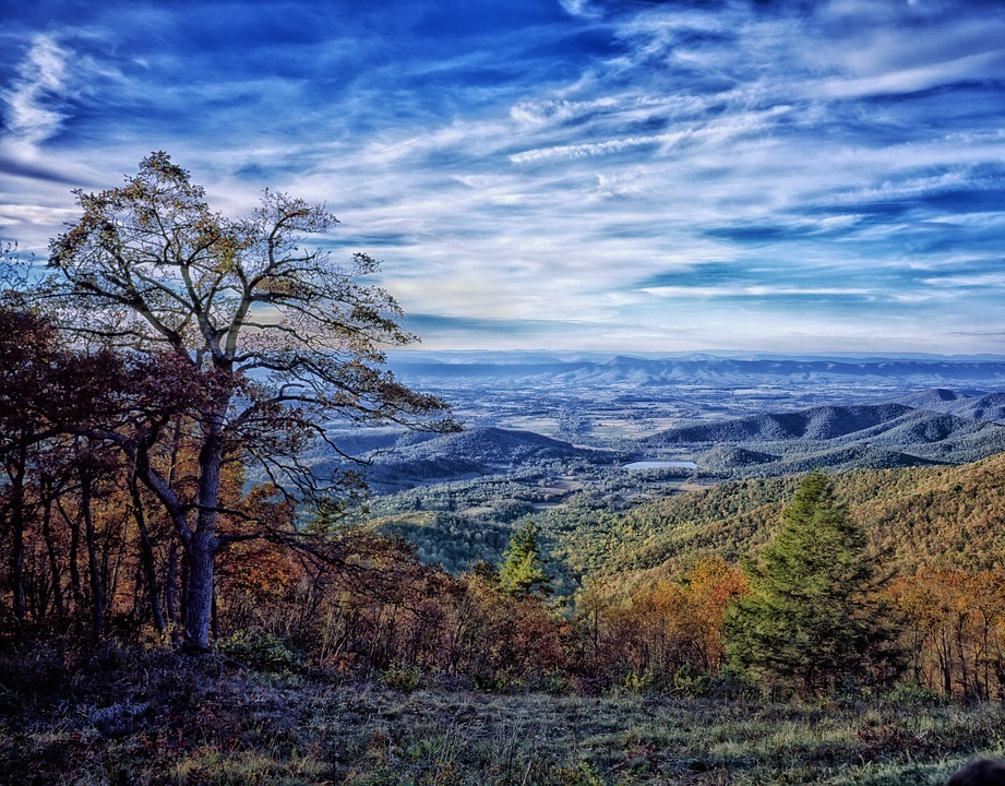 Virginia, U.S.A banner image
