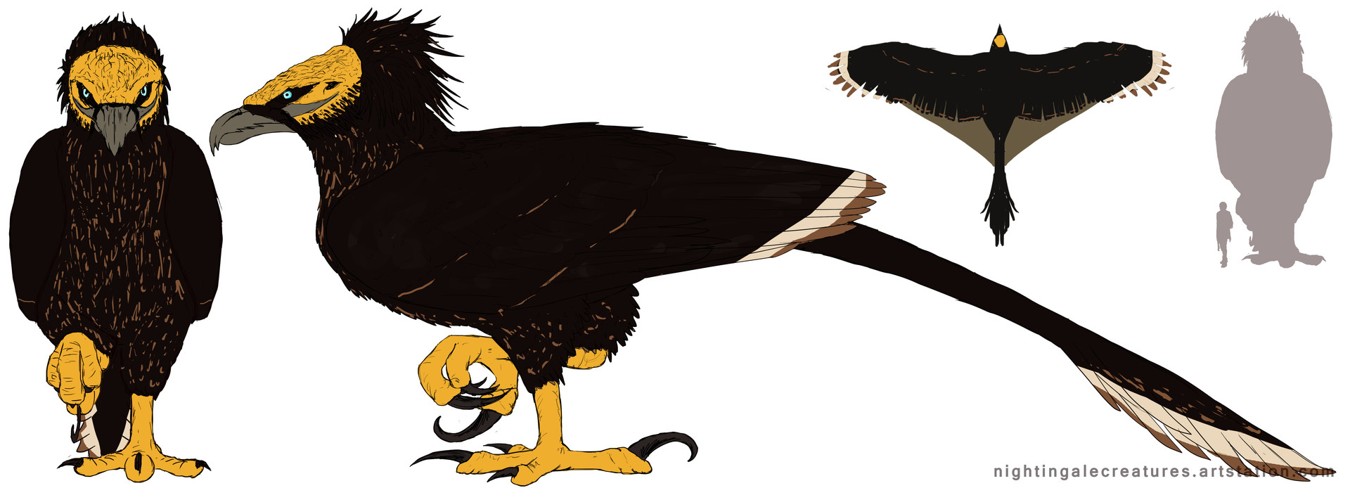 Bird - Golden Roc Eagle banner image