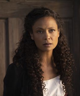 Estella Owen  banner image