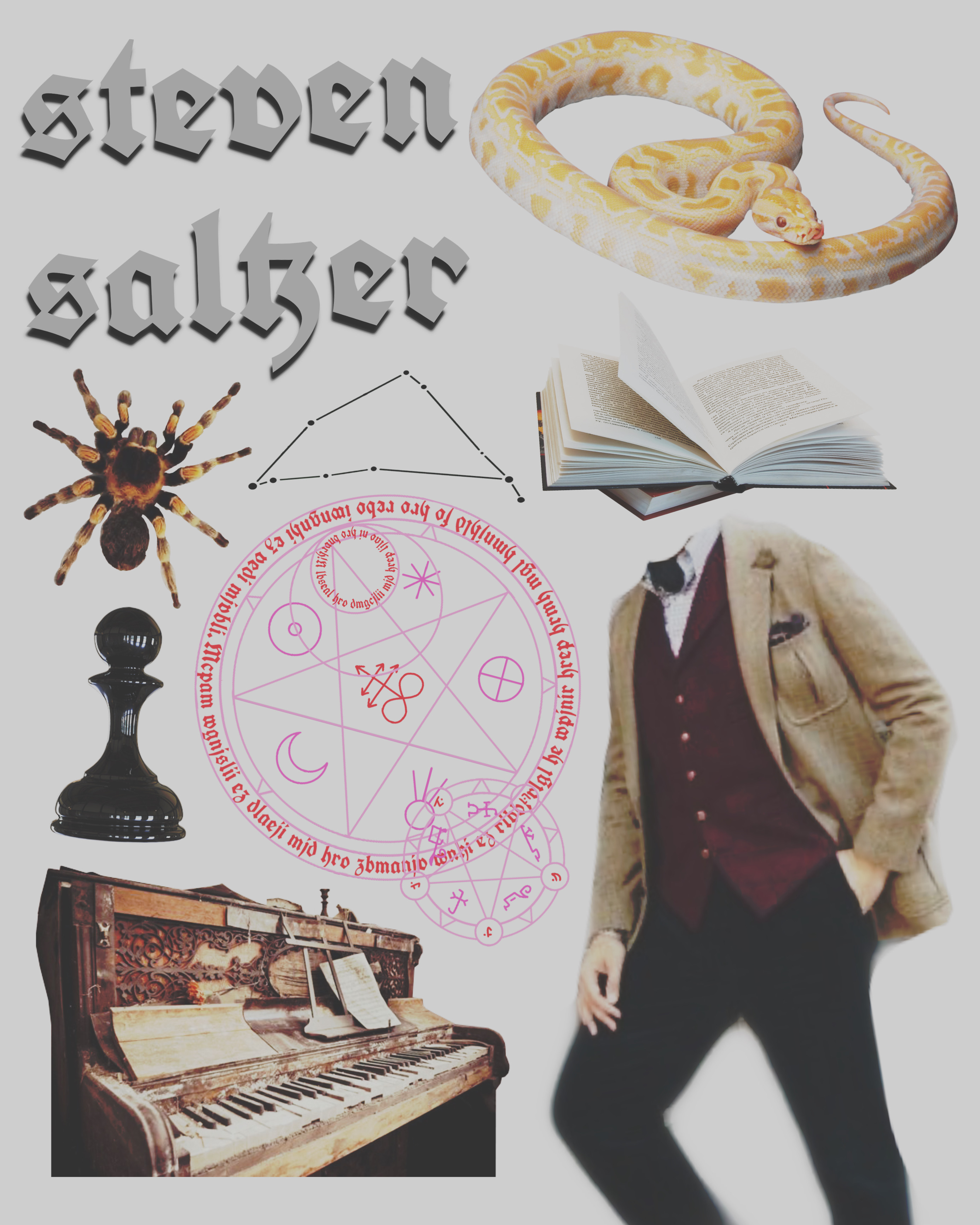 Steven Saltzer banner image