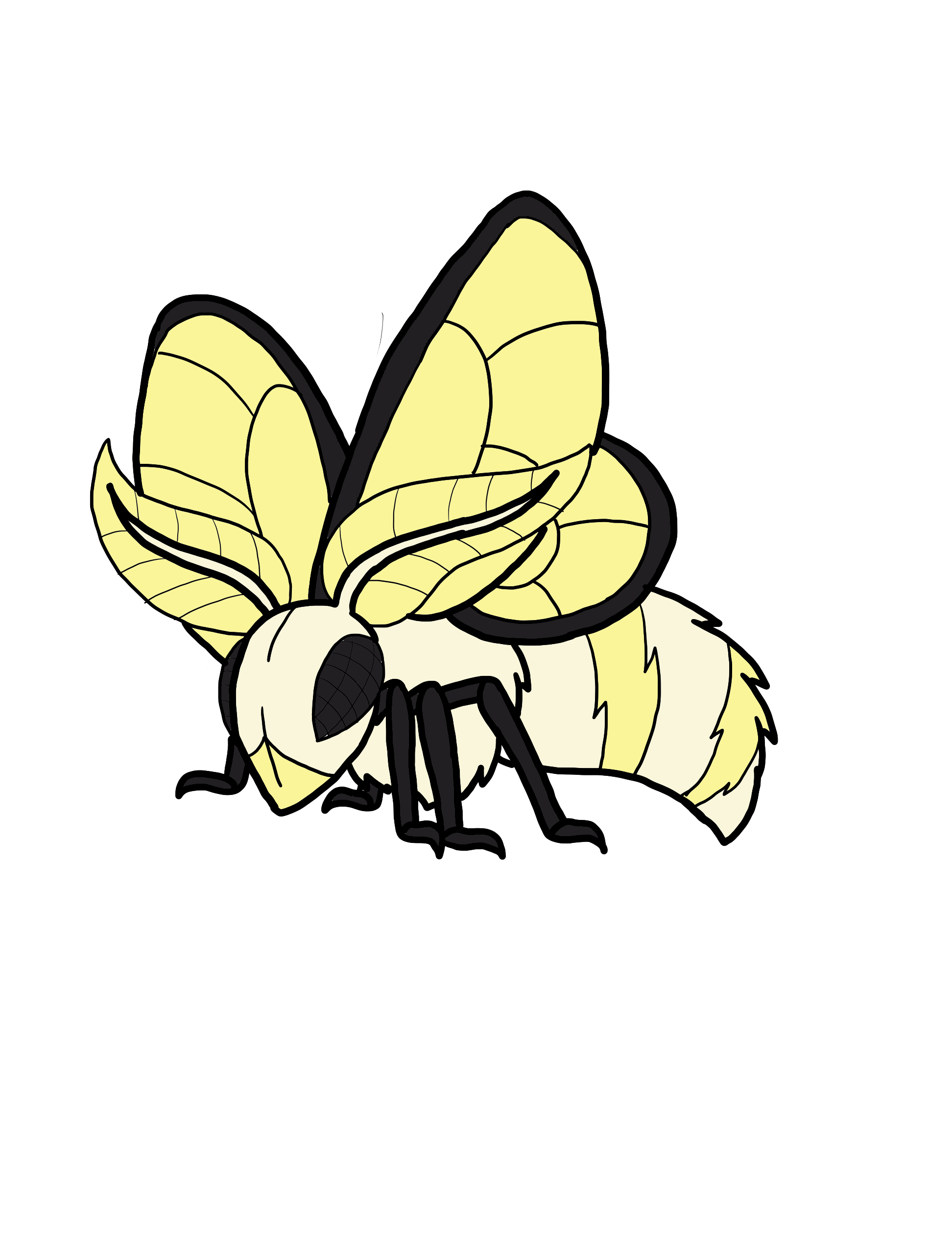 Shock Moth banner image