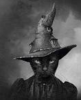 The Witch banner image