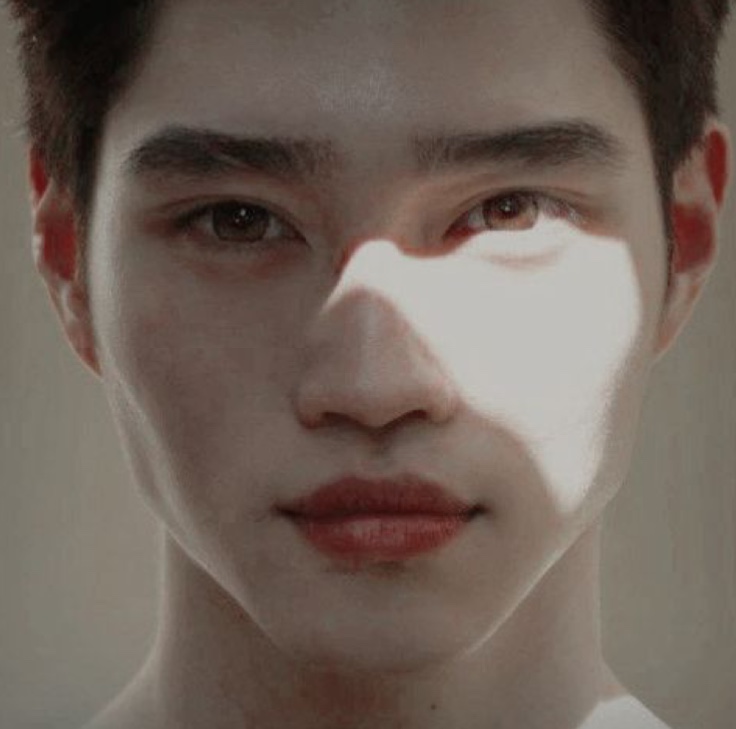 Lycus Locosta banner image