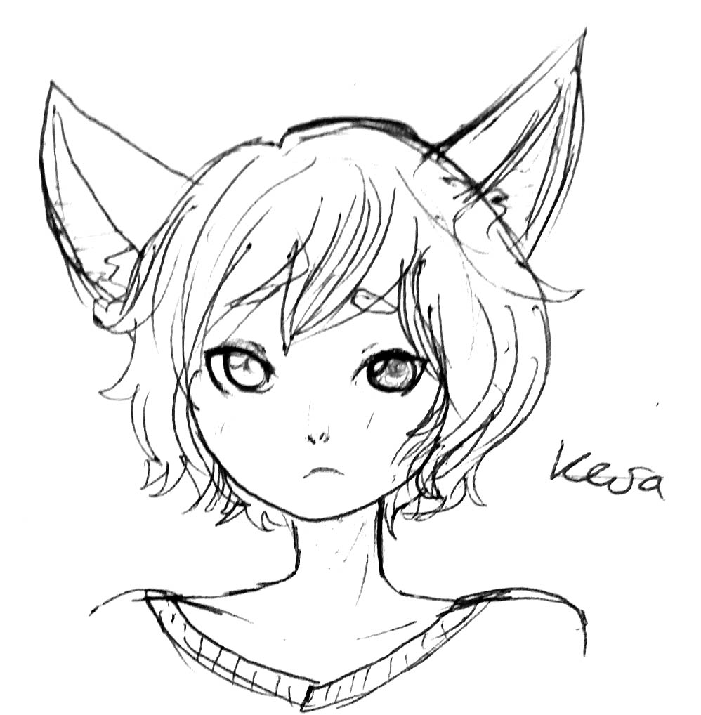 Kesa banner image