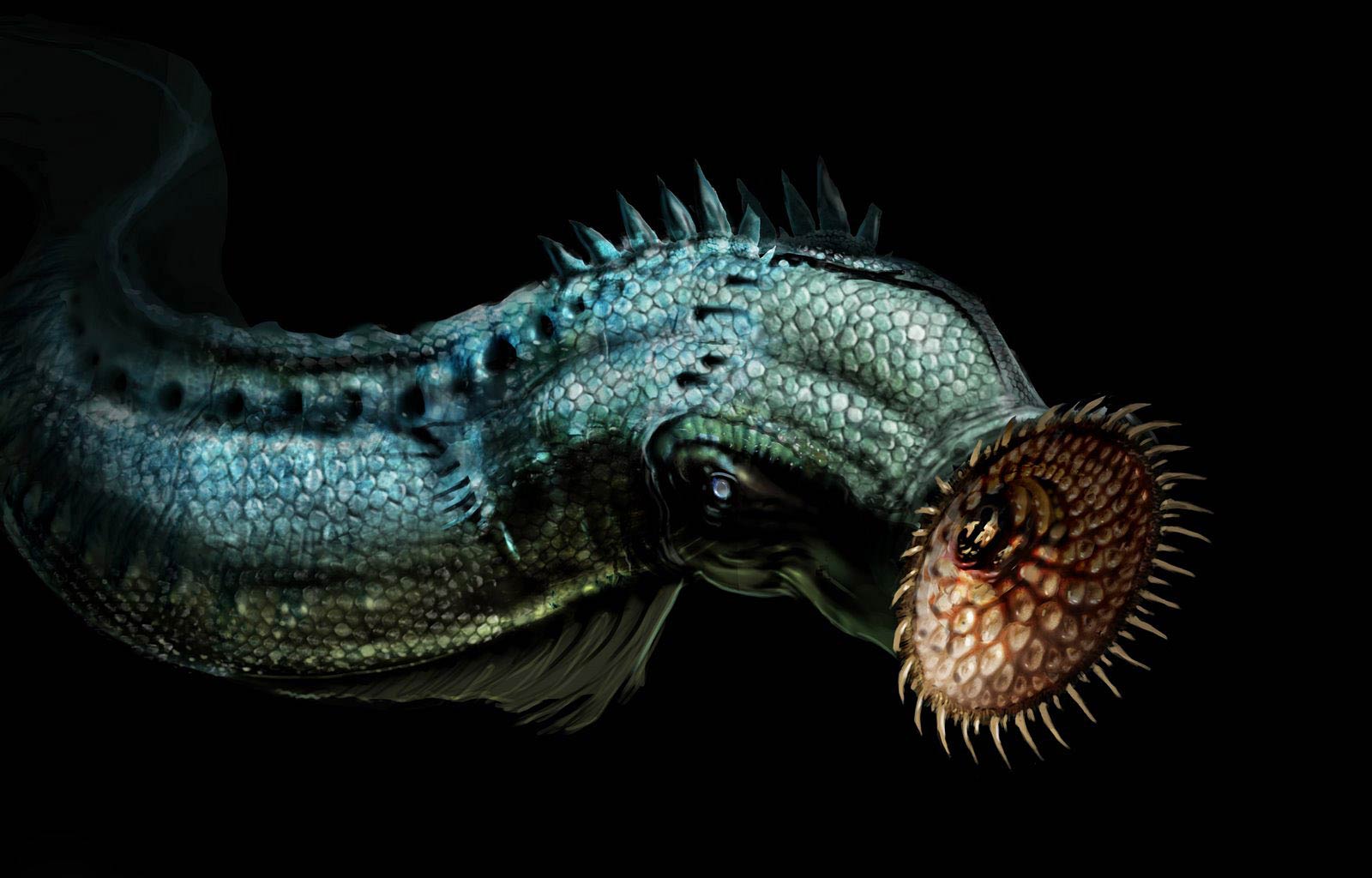 Hellfish banner image