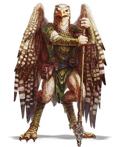 Aarakocra banner image