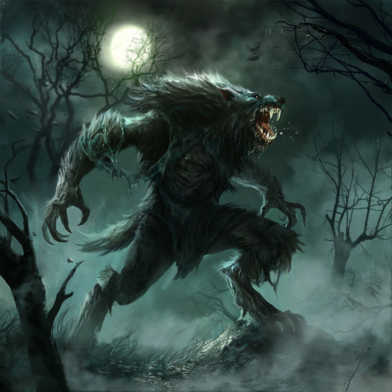 Kurr banner image