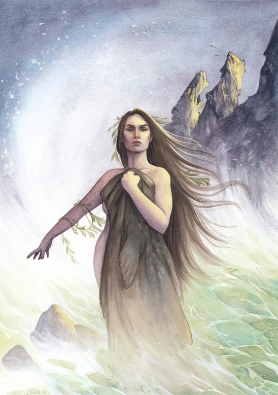 Selkie banner image