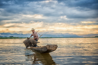 Fishing banner image