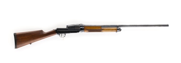 Sjögren shotgun banner image