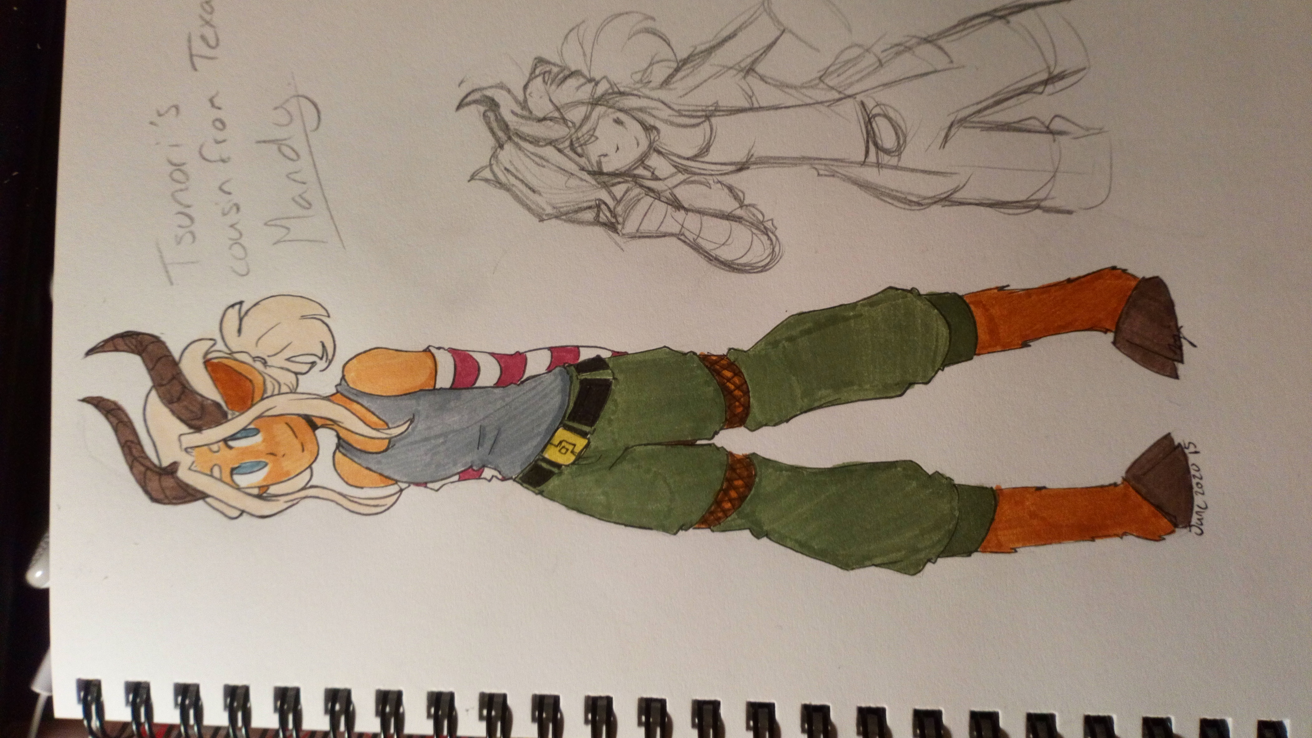 Mandy Anderson banner image