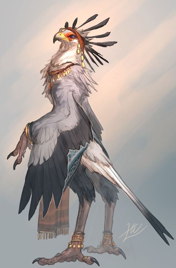 Qarr banner image