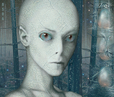 Lydan banner image