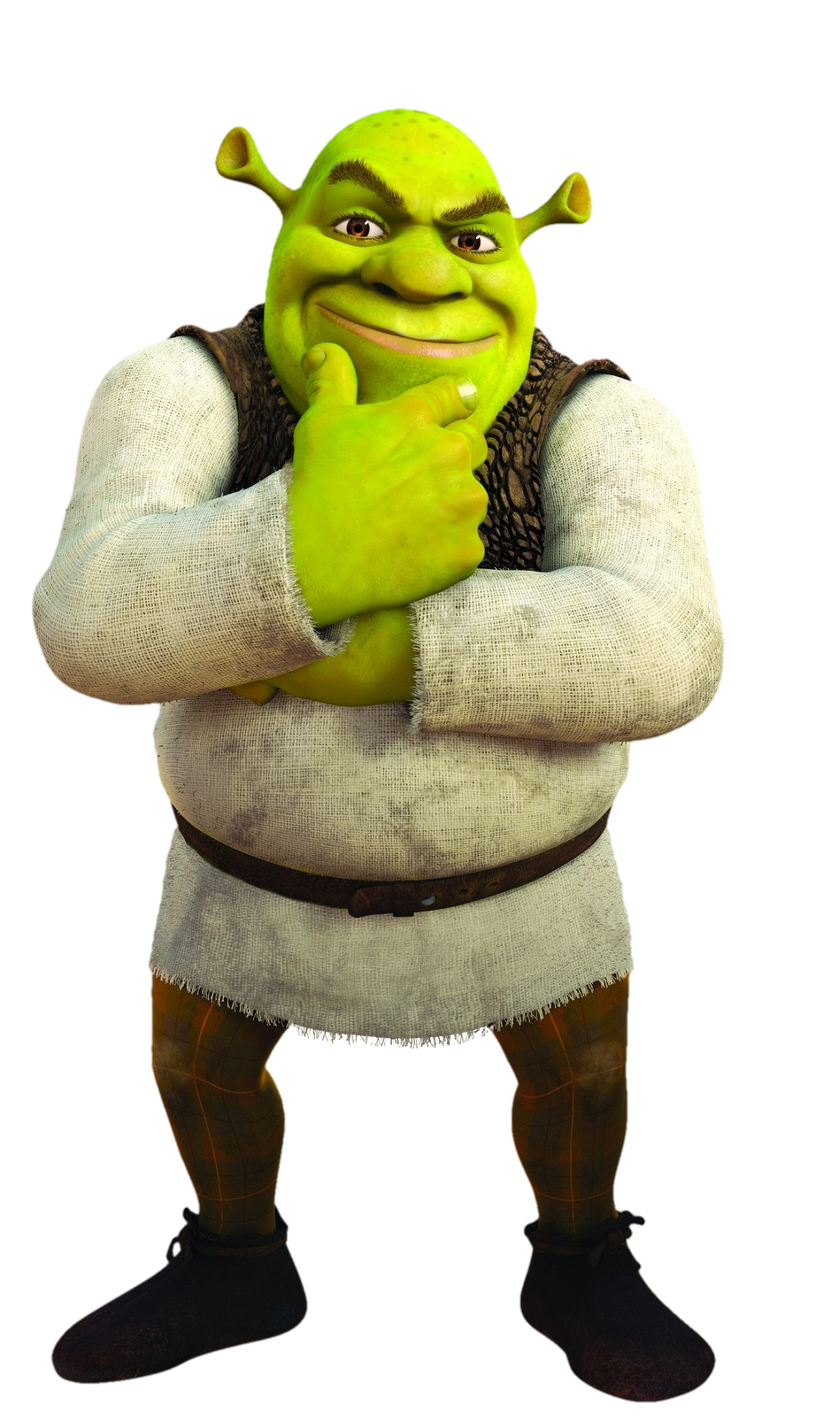 Shrek banner image
