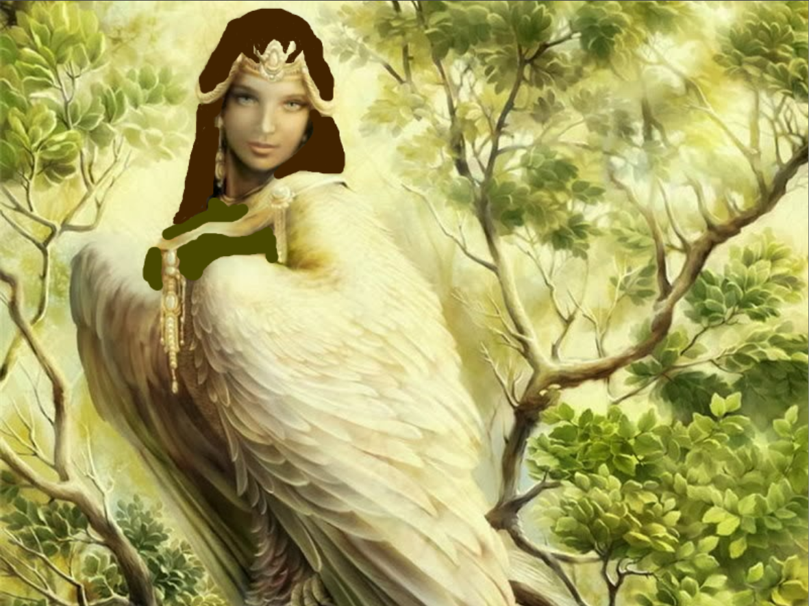 Tree Siren banner image