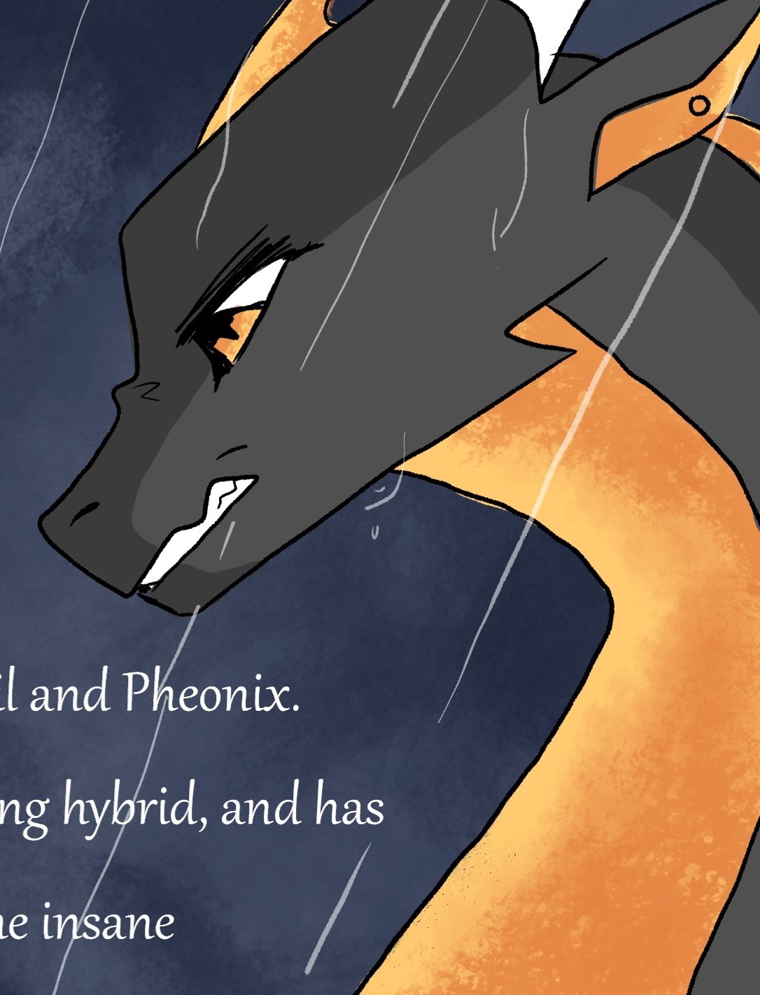 Phoenix banner image