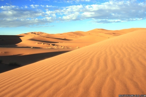 Shiara Desert banner image