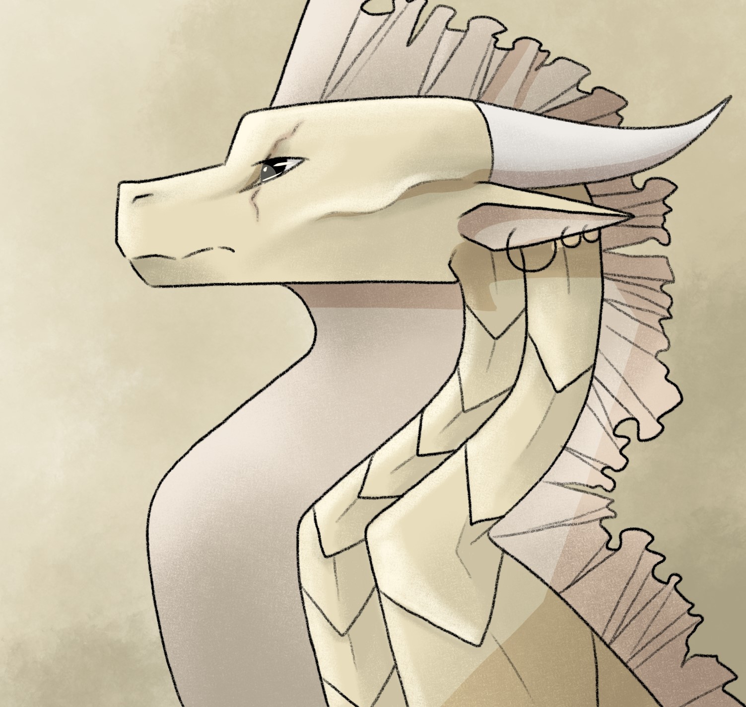 Prince banner image