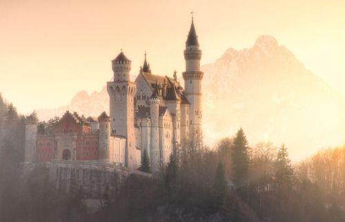 Narlyell banner image
