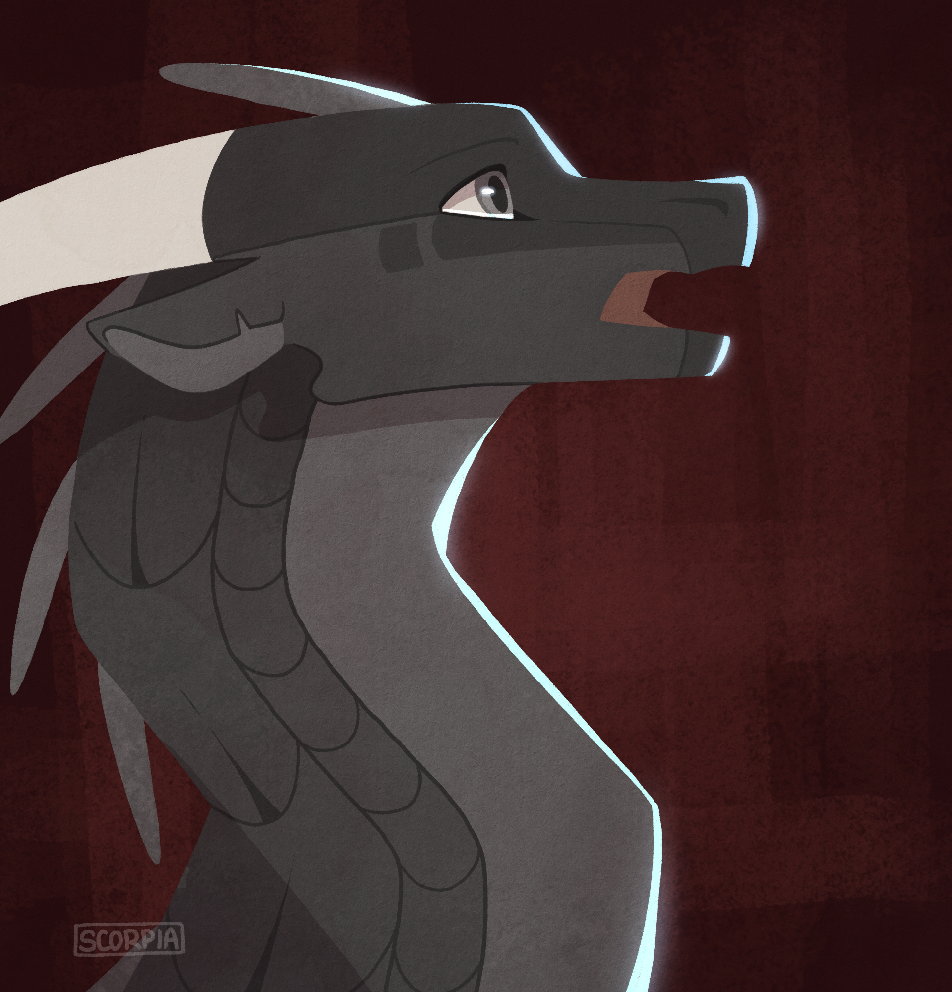 Shadow banner image