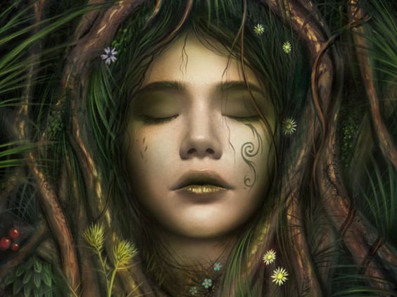 Dryad banner image