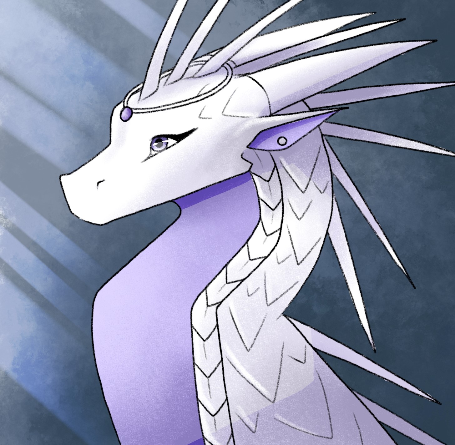 Shimmer banner image