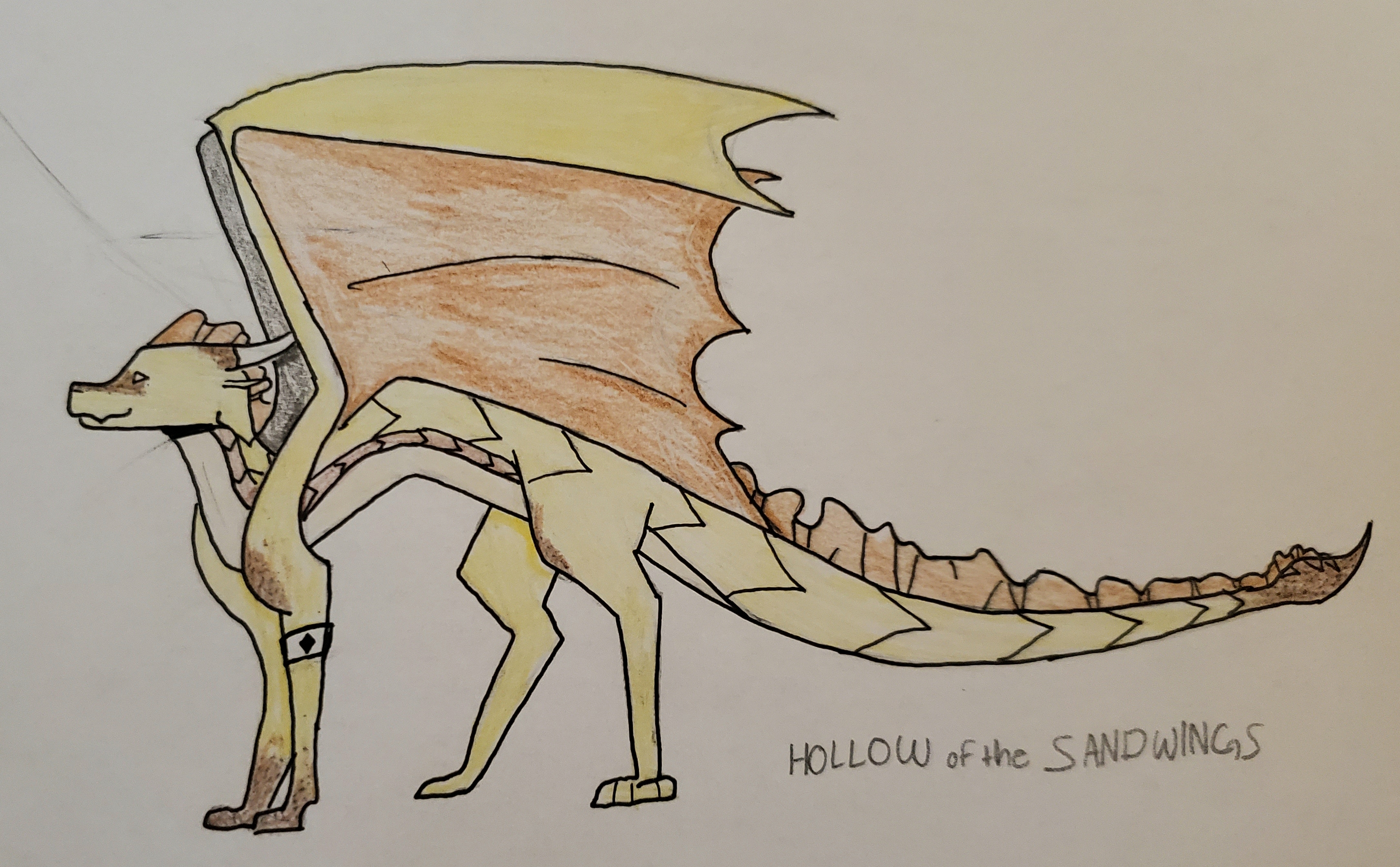 Hollow banner image