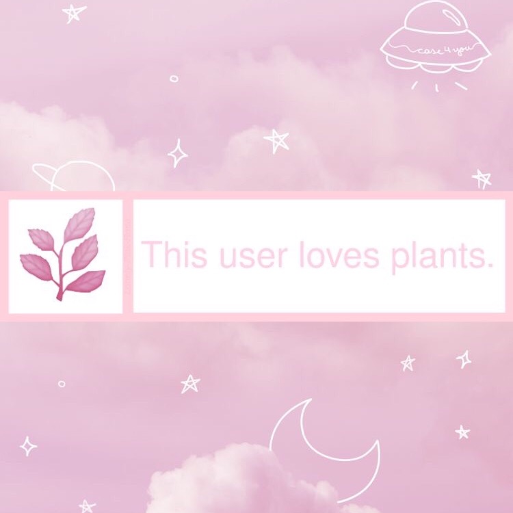 𝐥𝐢𝐥𝐲𝐩𝐚𝐝 banner image
