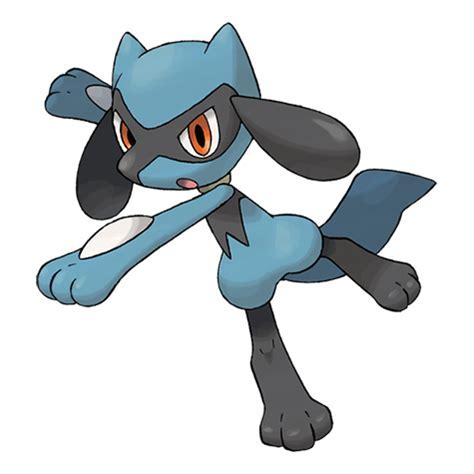 Ray banner image