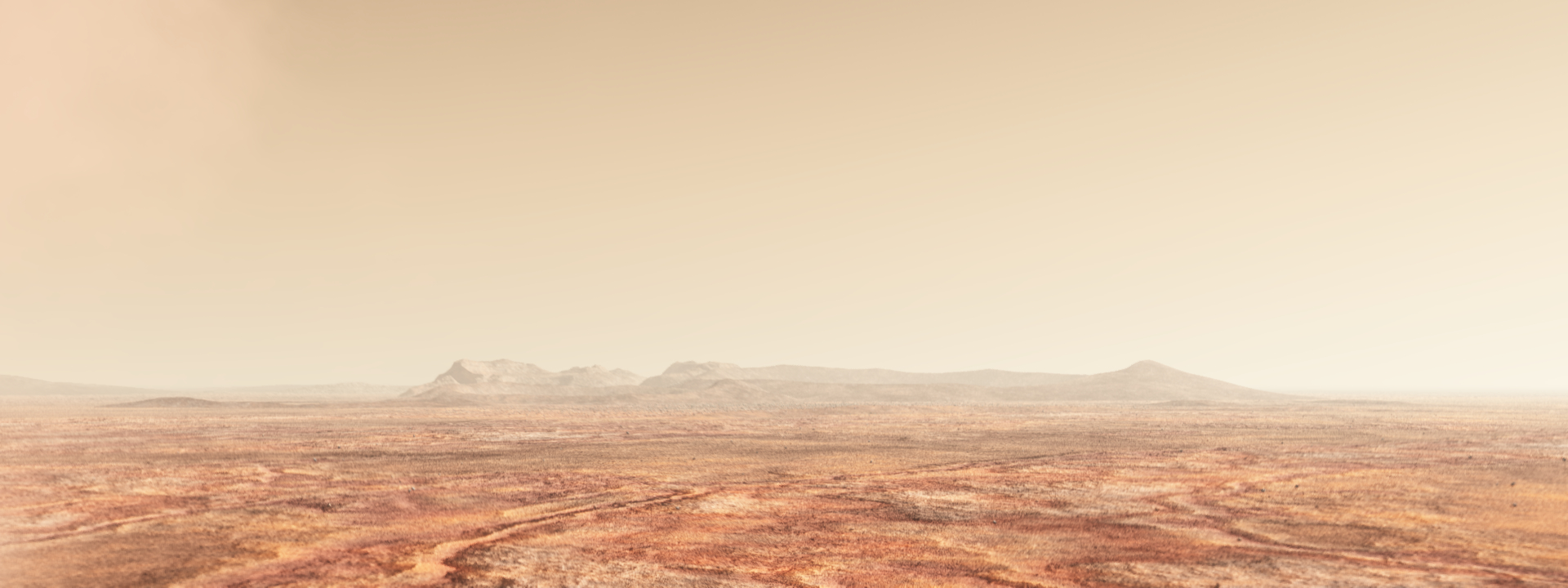 Valley of bones banner image