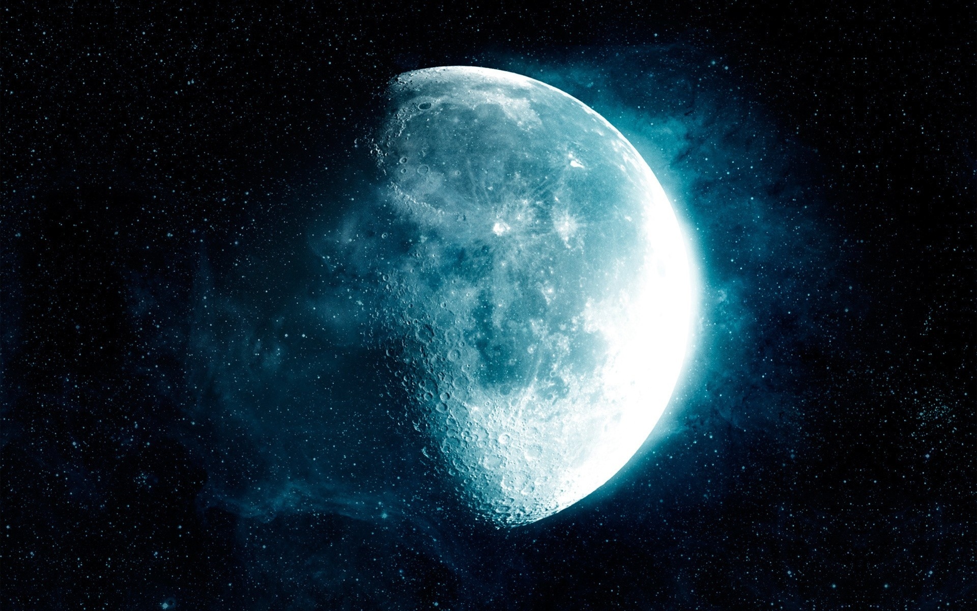 Lyrm banner image