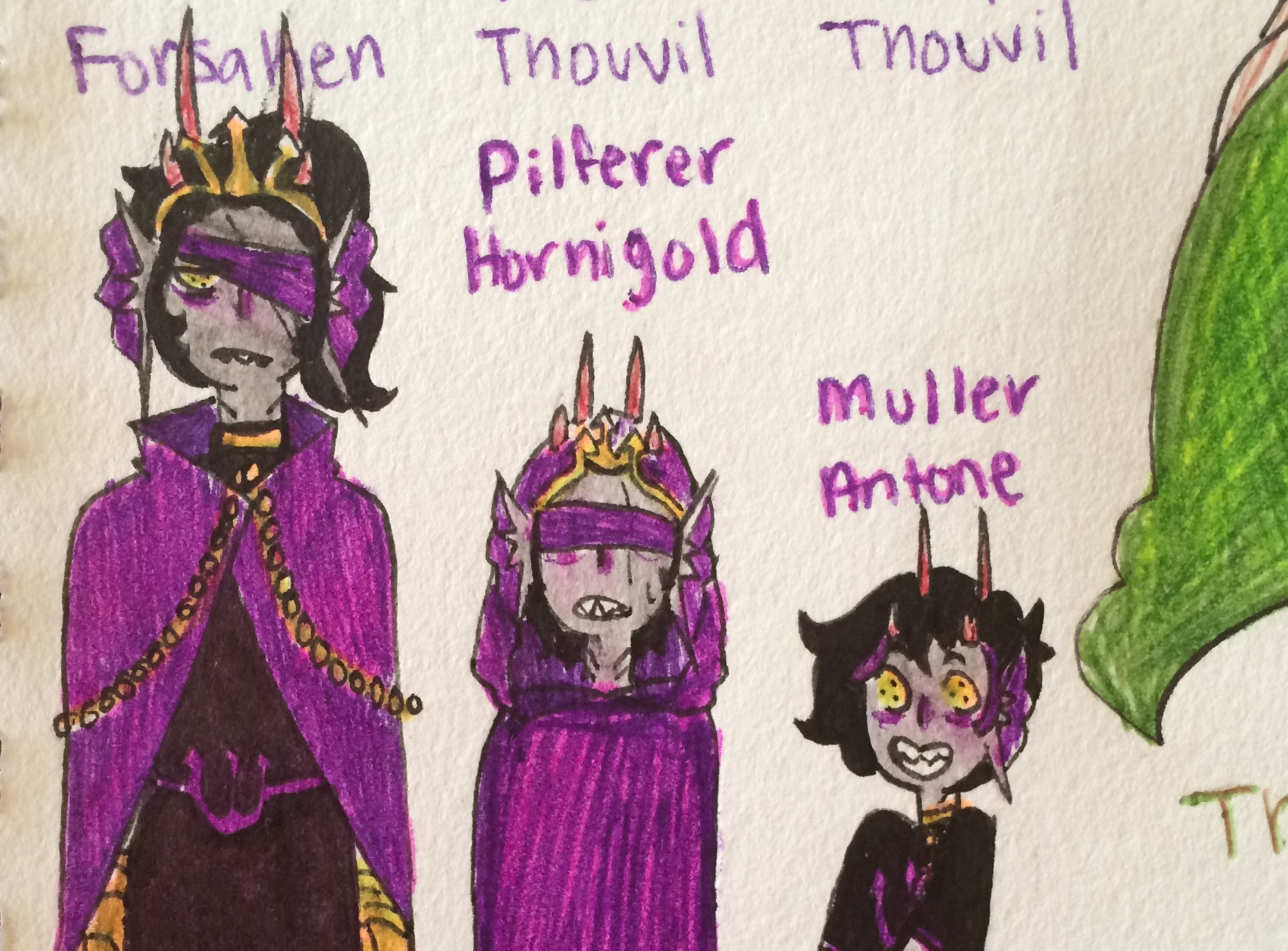 Muller Antone banner image