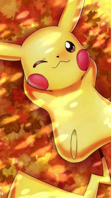 Chu banner image
