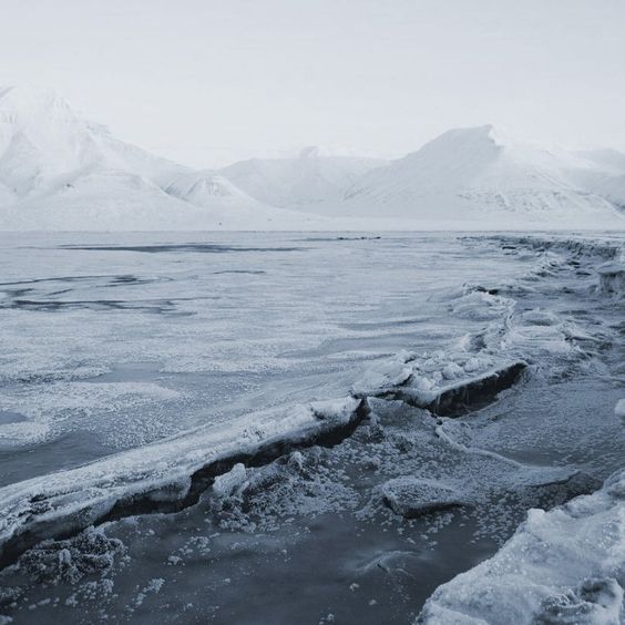 Стылые Земли banner image