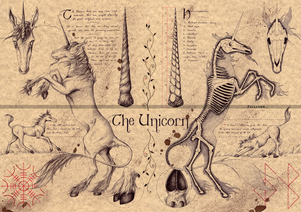 Unicorn banner image