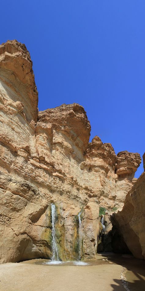 Arche Valley banner image