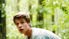 Elliot Alexander Foster banner image