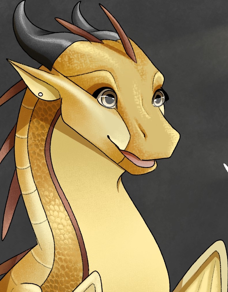 Opal banner image
