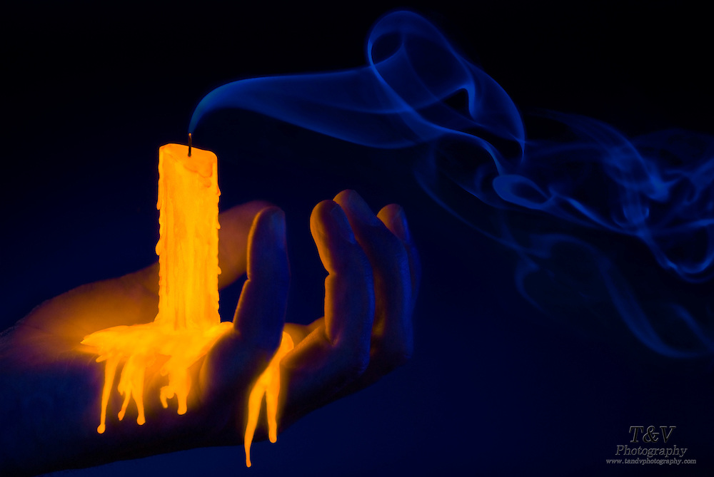 Purists banner image