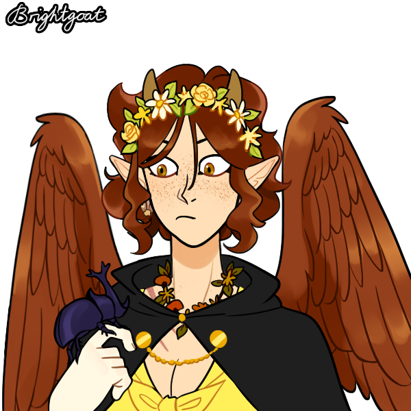 Kiala Oakwood banner image