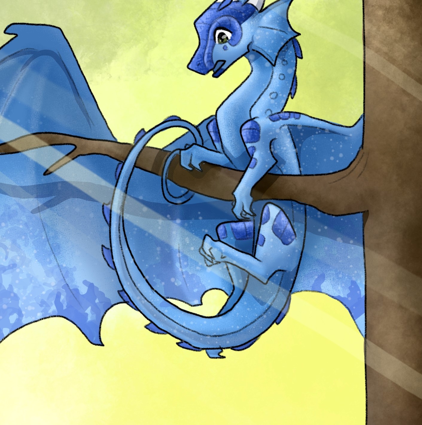 Rainforest Capital banner image