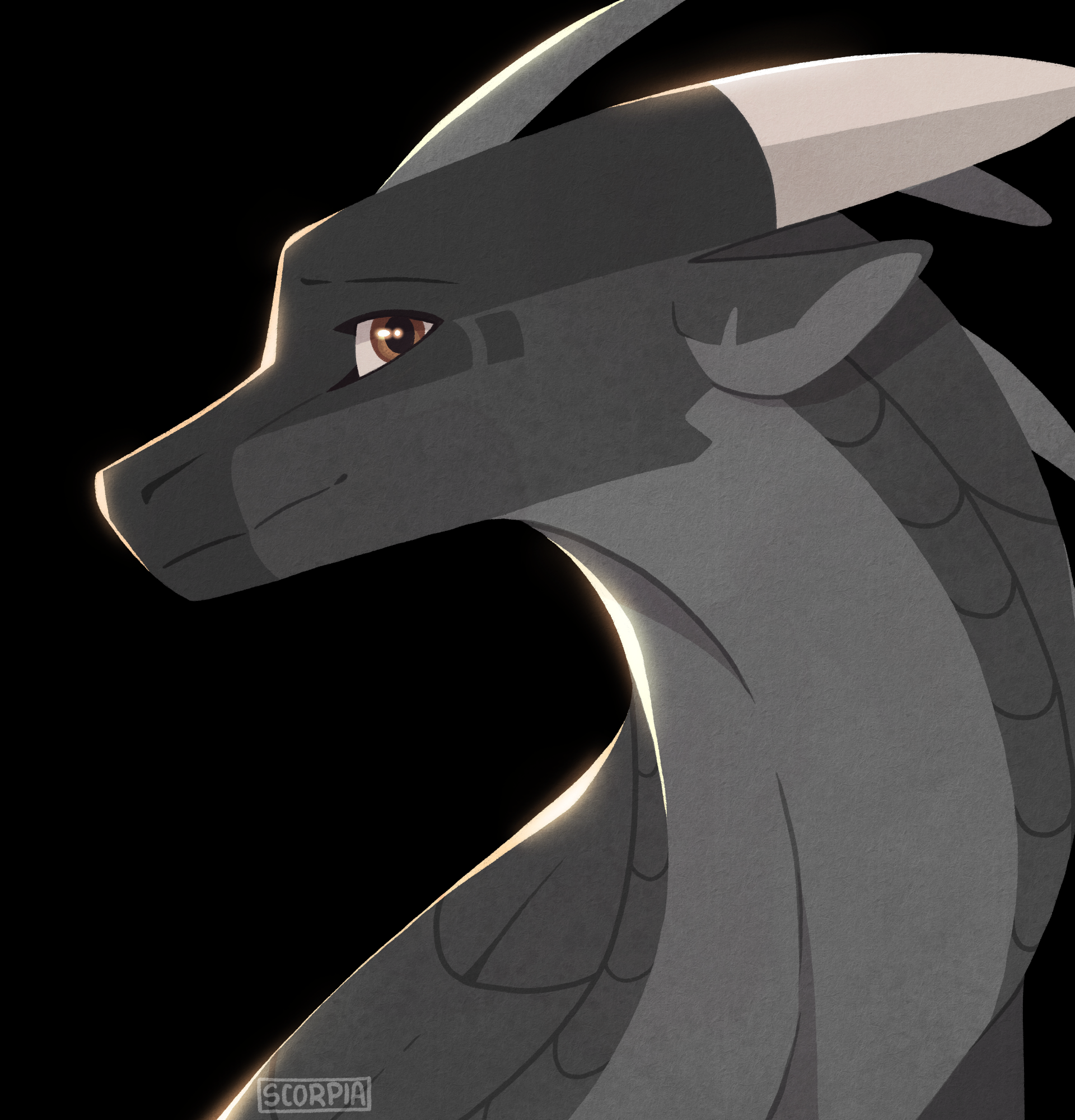 Seashade banner image