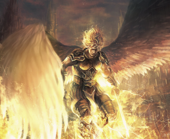 Terrance  banner image