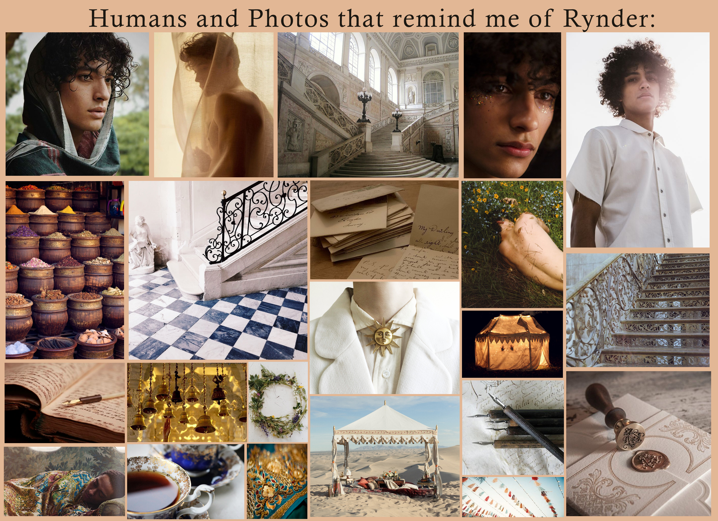 Rynder banner image